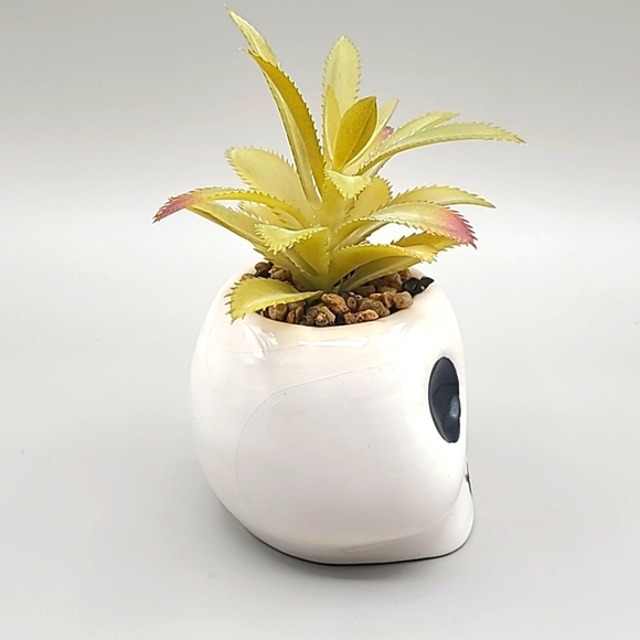 Skull Planter with Faux Plant - Picture 4 of 6